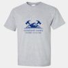 Ultra Cotton ® 100% US Cotton T Shirt Thumbnail