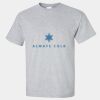Ultra Cotton ® 100% US Cotton T Shirt Thumbnail